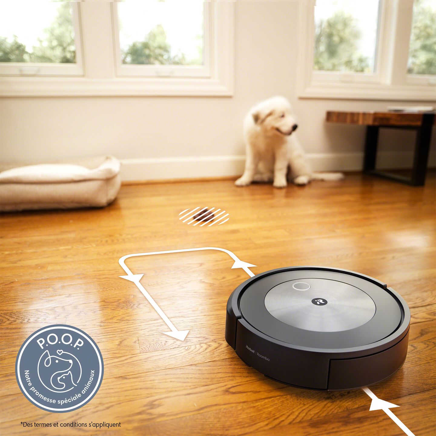 Robot laveur irobot braava jet m6 Robot laveur irobot braava jet m6
