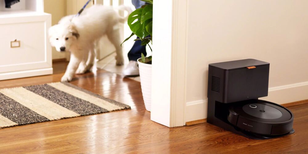 j7+ avec un chien marchant, &agrave; l&rsquo;int&eacute;rieur