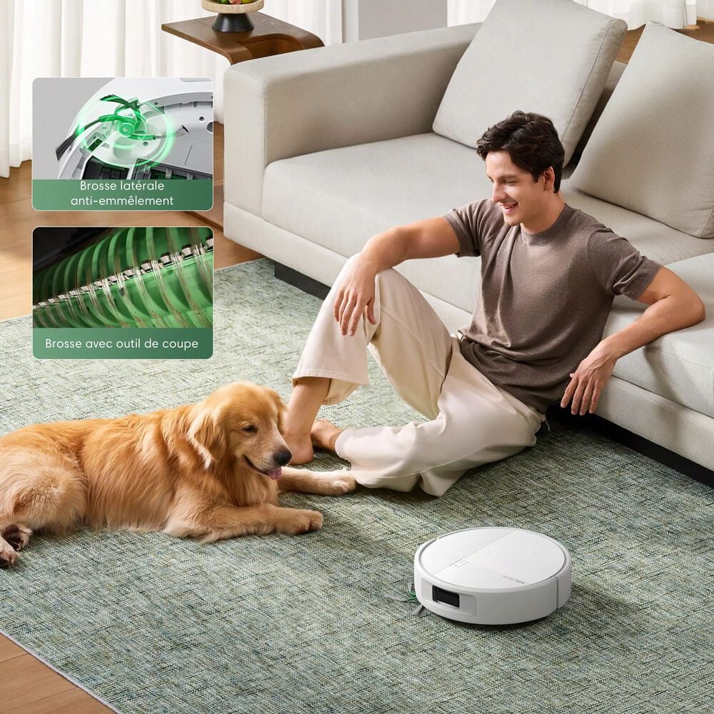 Nettoyage sans emm&ecirc;lements qui vient &agrave; bout des poils d&rsquo;animaux au quotidien