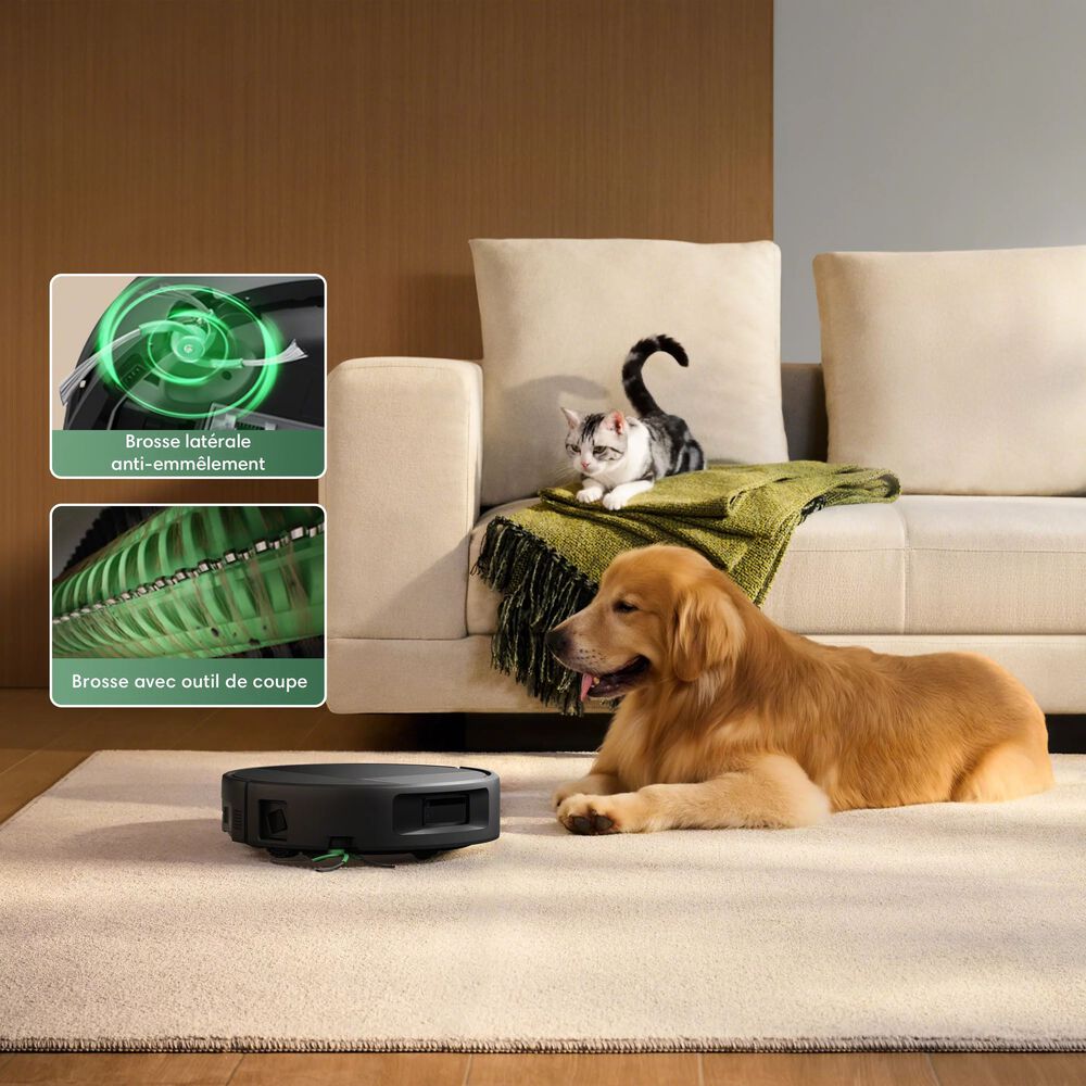 Nettoyage sans emm&ecirc;lements qui vient &agrave; bout des poils d&rsquo;animaux au quotidien